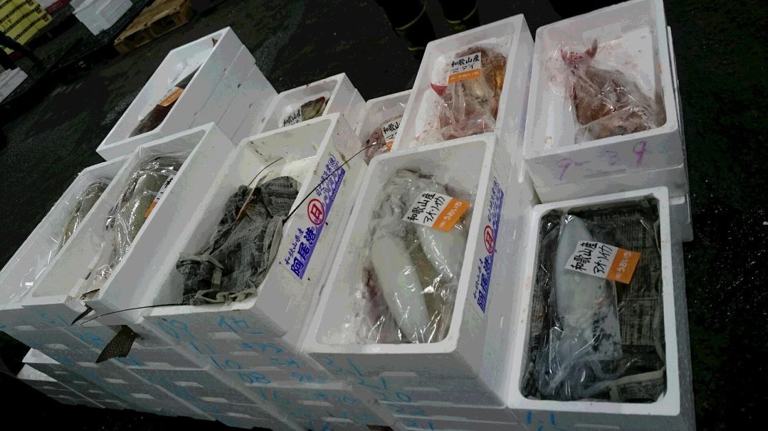 せり場の魚