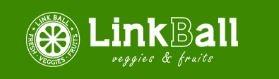 LINKBALL株式会社の会社ロゴ