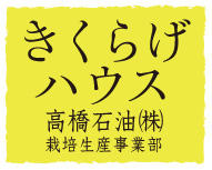 高橋石油株式会社　きくらげハウスの会社ロゴ