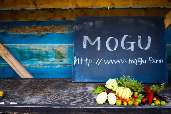 MOGUの会社ロゴ