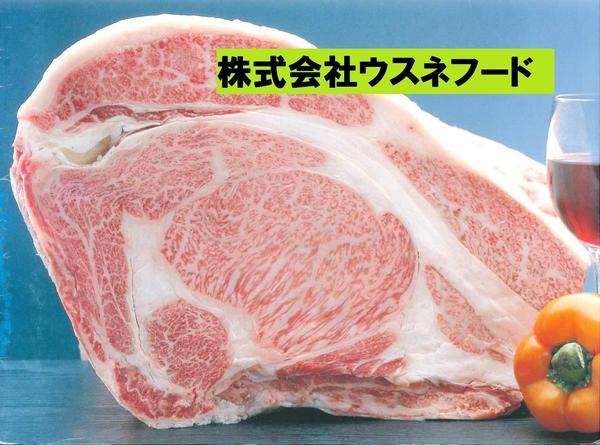 株式会社ウスネフードの会社ロゴ