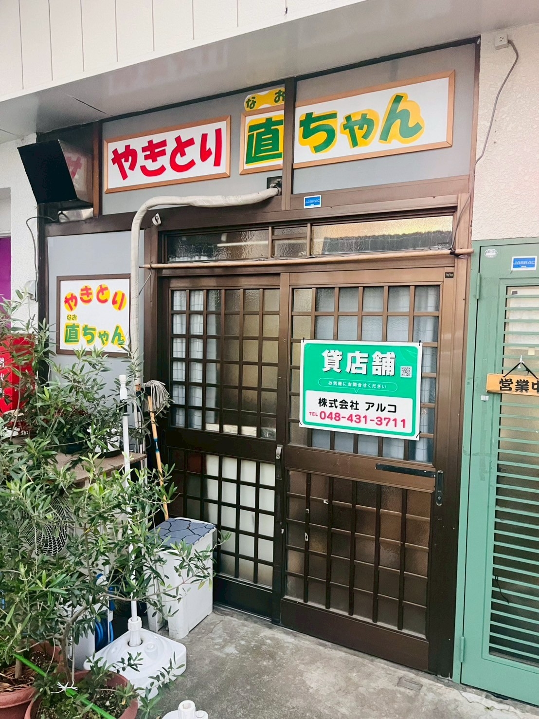 蕨